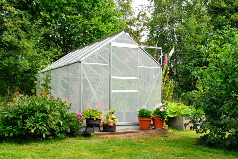 7 Easy Mini Greenhouse Tips