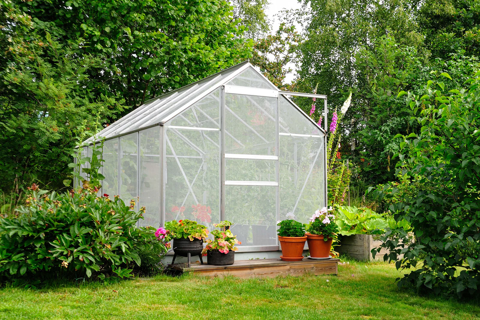 7 Easy Mini Greenhouse Tips
