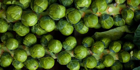 Brussels Sprouts