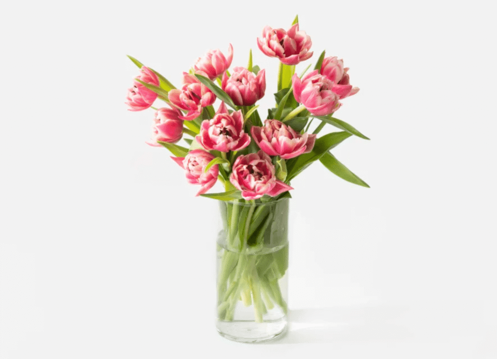  Tulip Arrangement