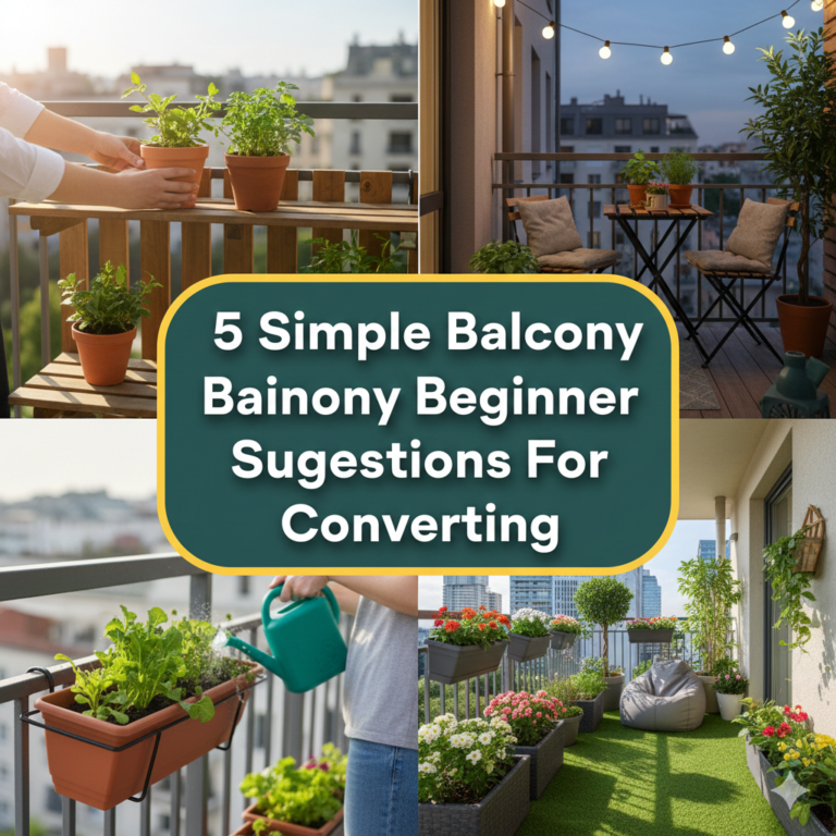 Simple Balcony Beginner Suggestions
