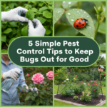5 Simple Pest Control Tips