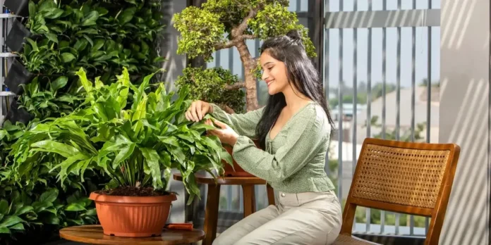 6 Balcony Gardening Tips That Save Space and Money 6 Balcony Gardening Tips That Save Space and Money