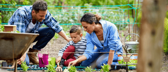 6 Seasonal Garden Mistakes Beginners Always Make 6 Seasonal Garden Mistakes Beginners Always Make