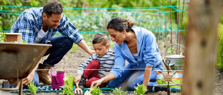 6 Seasonal Garden Mistakes Beginners Always Make