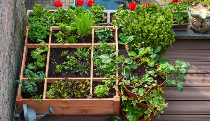 7 Balcony Setup Essentials Every Plant Lover Needs