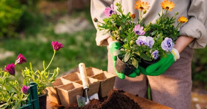 9 Balcony Gardening Mistakes Killing Your Plants Fast 9 Balcony Gardening Mistakes Killing Your Plants Fast