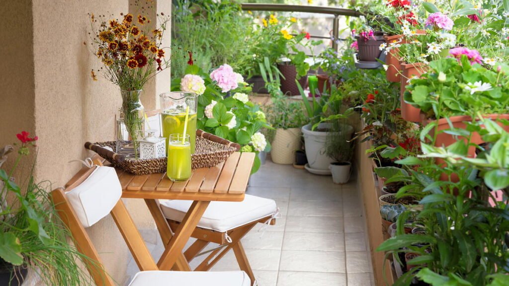 7 Smart Balcony Gardening Secrets I Wish I Knew Earlier