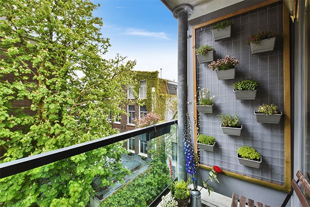 6 Essential Seasonal Garden Tips for Balcony Growers