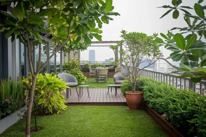 9 Powerful Garden Hacks for Balcony Garden Success